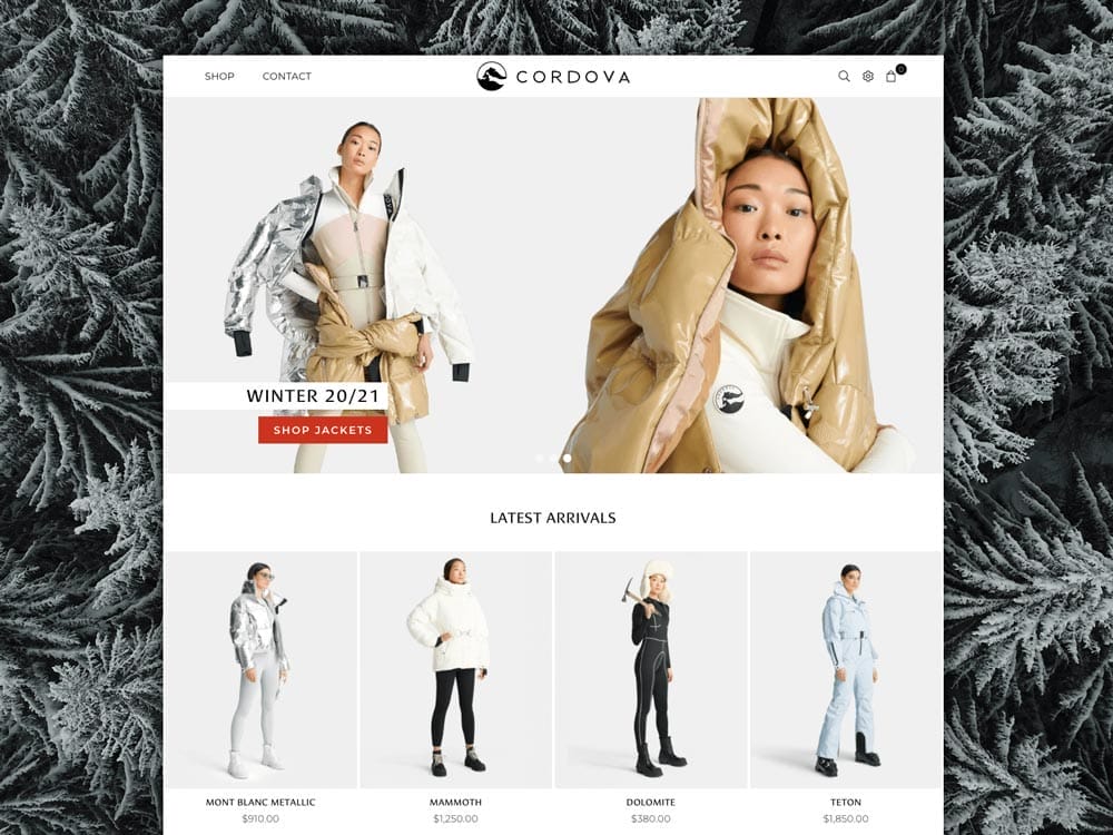 The user experience of a winter clothing store homepage is enhanced through meticulous web design by a professional website design agency.